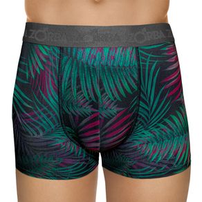 Cueca-Zorba-Boxer-Microfibra-Estampada-Estampa2-F-854.jpg